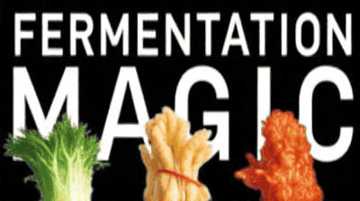 Fermentation Magic: How Microbes Turn Cabbage into Kimchi and Soy into Soy Sauce