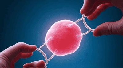 Should We Edit Human Embryos? The CRISPR Ethics Debate Explained